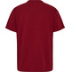 CAMISETA HOMBRE TOMMY JEANS LOGO XS