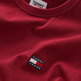 CAMISETA HOMBRE TOMMY JEANS LOGO XS