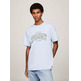 CAMISETA UNIVERSITARIA CON LOGO HOMBRE TOMMY JEANS