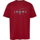 CAMISETA HOMBRE TOMMY JEANS LOGO FIRMA