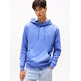 HOMBRE TJM REG S FLAG HOODIE C6D