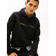 SUDADERA HOMBRE  TOMMY HILFIGER TJM REG LINEAR LOGO HOODIE EXT