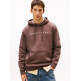 SUDADERA HOMBRE  TOMMY HILFIGER TJM REG LINEAR LOGO HOODIE EXT