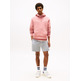 SUDADERA HOMBRE  TOMMY HILFIGER TJM REG LINEAR LOGO HOODIE EXT