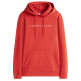 SUDADERA HOMBRE  TOMMY HILFIGER TJM REG LINEAR LOGO HOODIE EXT