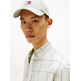 HOMBRE TJM ESSNTL TWILL CHECK REG SHI M1C