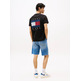 HOMBRE TJM REG FLAG GRAPH BCKPRNT T E BDS