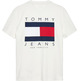 HOMBRE TJM REG FLAG GRAPH BCKPRNT T E YBL
