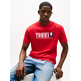 CAMISETA HOMBRE TOMMY JEANS CON LOGO