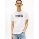 HOMBRE TJM REG TOMMY DNA FLAG TEE EXT YBL