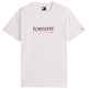 HOMBRE TJM REG DNA TEE EXT YBL