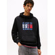 HOMBRE TJM REG RWB FLAG HOODIE EXT BDS