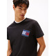 HOMBRE TJM REG FLAG DNA TEE EXT BDS