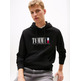 HOMBRE TJM REG RWB DNA GRAPHIC HOODIE BDS