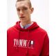 HOMBRE TJM REG RWB DNA GRAPHIC HOODIE XLE