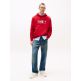 HOMBRE TJM REG RWB DNA GRAPHIC HOODIE XLE