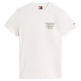 CAMISETA HOMBRE  TOMMY HILFIGER TJM SLIM ENTRY BILLS SS TEE
