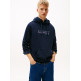 SUDADERA HOMBRE  TOMMY HILFIGER TJM REG ENTRY DNA PLAY HOOD