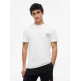 CAMISETA HOMBRE  TOMMY HILFIGER TJM REG SIGN FLAG SS TEE EXT