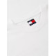 CAMISETA HOMBRE  TOMMY HILFIGER TJM REG SIGN FLAG SS TEE EXT