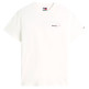 CAMISETA HOMBRE  TOMMY HILFIGER TJM REG DNA GRPHC SS T EXT