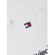 CAMISETA HOMBRE  TOMMY HILFIGER TJM REG ENTRY DNA SS TEE