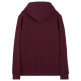 SUDADERA HOMBRE  TOMMY HILFIGER TJM REG CREST HOODIE