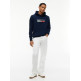 SUDADERA HOMBRE  TOMMY HILFIGER TJM REG DNA PLAY HOODIE