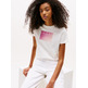 MUJER TJW REG GRADIENT FLAG SS YBL