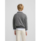 JERSEY NIÑO  SILBON JERSEY KIDS DOG