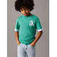 CAMISETA NIÑO CALVIN KLEIN CHEST SURF GRAPHIC T-SHIRT