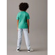 CAMISETA NIÑO CALVIN KLEIN CHEST SURF GRAPHIC T-SHIRT