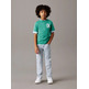 CAMISETA NIÑO CALVIN KLEIN CHEST SURF GRAPHIC T-SHIRT
