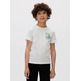 CAMISETA NIÑO CALVIN KLEIN CHEST SURF GRAPHIC T-SHIRT