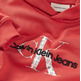 SUDADERA NIÑO  CALVIN KLEIN EMBRO LOGO HOODIE