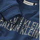 SUDADERA NIÑO CALVIN KLEIN TERRY SEASONAL LOGO CN