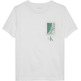 CAMISETA NIÑO CALVIN KLEIN SEASONAL LOGO SS T-SHIRT
