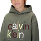 SUDADERA NIÑO  CALVIN KLEIN COLOR LOGO GRAPHIC TERRY HOODI
