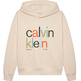 SUDADERA NIÑO  CALVIN KLEIN COLOR LOGO GRAPHIC TERRY HOODI