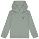 SUDADERA INFANTIL CALVIN KLEIN CON CAPUCHA Y LOGO