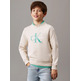 SUDADERA INFANTIL CALVIN KLEIN CON LOGO