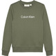 SUDADERA CALVIN KLEIN INST. LOGO REGULAR CN
