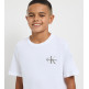 CAMISETA INFANTIL CALVIN KLEIN CON LOGO