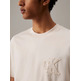 CAMISETA HOMBRE  CALVIN KLEIN CK APPLIQUE TEE