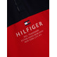 POLO DE PIQUÉ CON DISEÑO COLORBLOCK NIÑO TOMMY HILFIGER