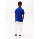 POLO NIÑO TOMMY HILFIGER LOGO BORDADO FIT REGULAR