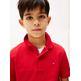 POLO NIÑO TOMMY HILFIGER LOGO BORDADO FIT REGULAR