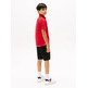 POLO NIÑO TOMMY HILFIGER LOGO BORDADO FIT REGULAR
