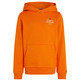 SUDADERA CON CAPUCHA NIÑO TOMMY HILFIGER CON LOGO