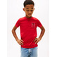 CAMISETA NIÑO TOMMY HILFIGER CON LOGO GRAFICO